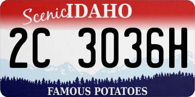 ID license plate 2C3036H