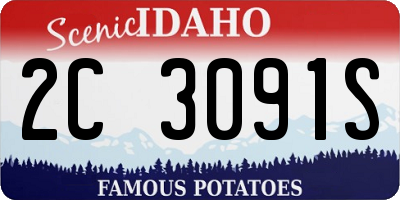 ID license plate 2C3091S