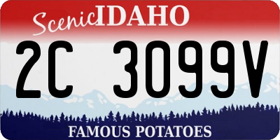 ID license plate 2C3099V