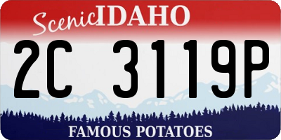 ID license plate 2C3119P