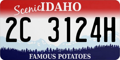 ID license plate 2C3124H