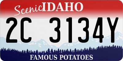 ID license plate 2C3134Y