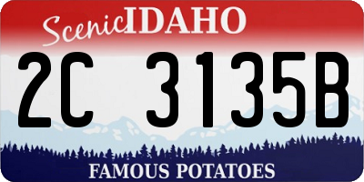 ID license plate 2C3135B