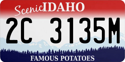 ID license plate 2C3135M