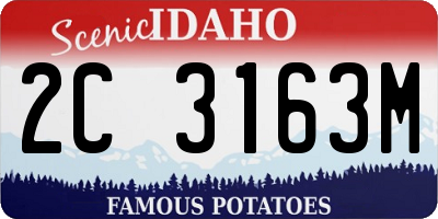 ID license plate 2C3163M