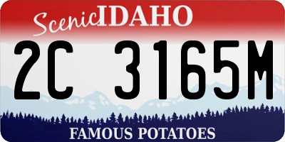 ID license plate 2C3165M