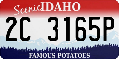ID license plate 2C3165P