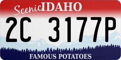 ID license plate 2C3177P