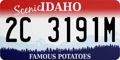 ID license plate 2C3191M