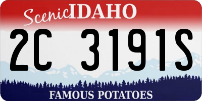 ID license plate 2C3191S