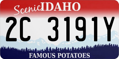 ID license plate 2C3191Y