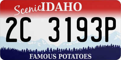 ID license plate 2C3193P