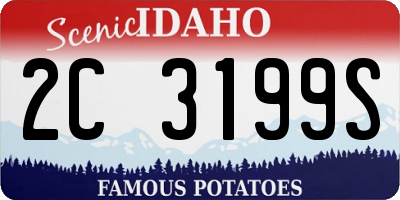 ID license plate 2C3199S