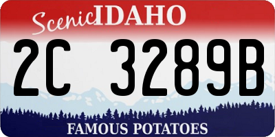 ID license plate 2C3289B