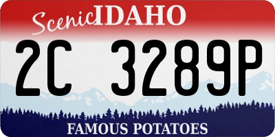ID license plate 2C3289P