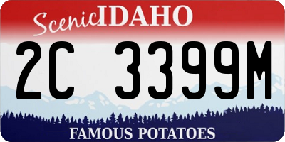 ID license plate 2C3399M