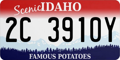 ID license plate 2C3910Y