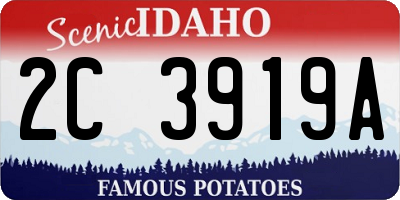 ID license plate 2C3919A