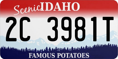 ID license plate 2C3981T