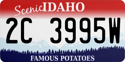 ID license plate 2C3995W