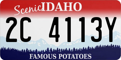 ID license plate 2C4113Y