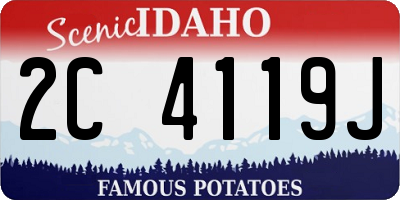 ID license plate 2C4119J