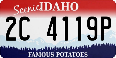 ID license plate 2C4119P