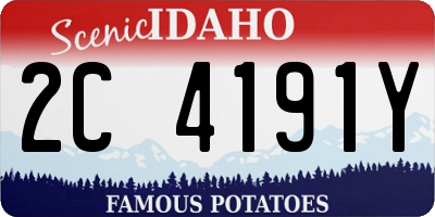ID license plate 2C4191Y