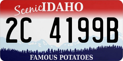 ID license plate 2C4199B