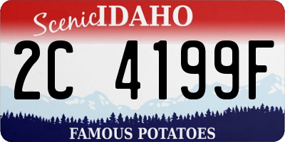 ID license plate 2C4199F