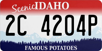 ID license plate 2C4204P