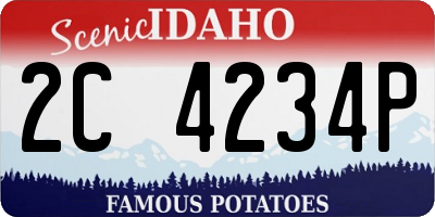 ID license plate 2C4234P