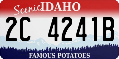 ID license plate 2C4241B