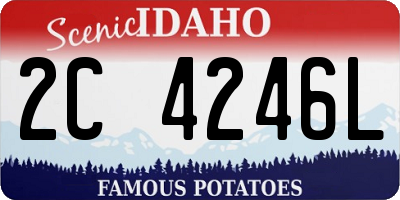 ID license plate 2C4246L