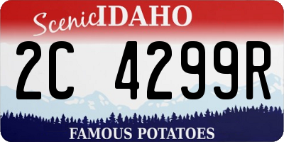 ID license plate 2C4299R