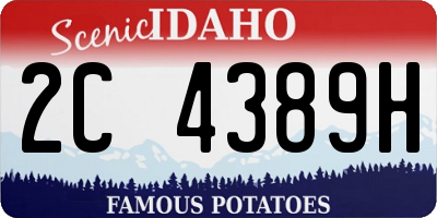 ID license plate 2C4389H