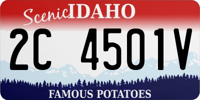 ID license plate 2C4501V