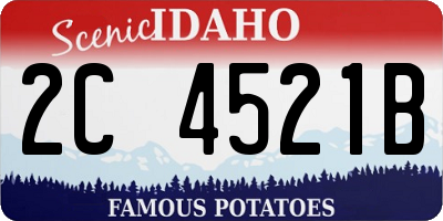 ID license plate 2C4521B