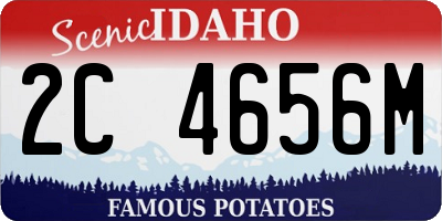 ID license plate 2C4656M