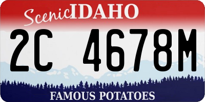 ID license plate 2C4678M