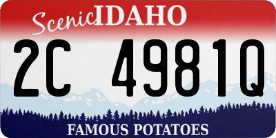 ID license plate 2C4981Q