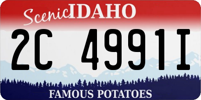 ID license plate 2C4991I