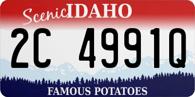 ID license plate 2C4991Q
