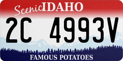 ID license plate 2C4993V