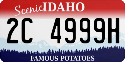 ID license plate 2C4999H