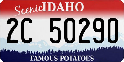ID license plate 2C5029O