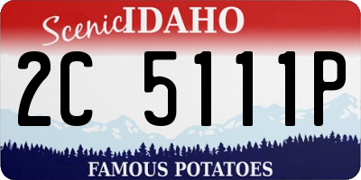 ID license plate 2C5111P