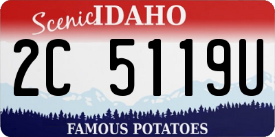 ID license plate 2C5119U