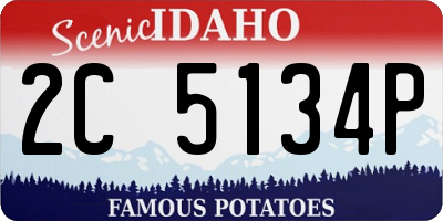 ID license plate 2C5134P