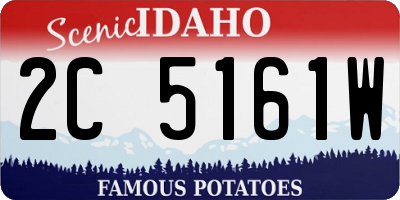 ID license plate 2C5161W